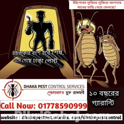 pest control service Dhaka Bangladesh